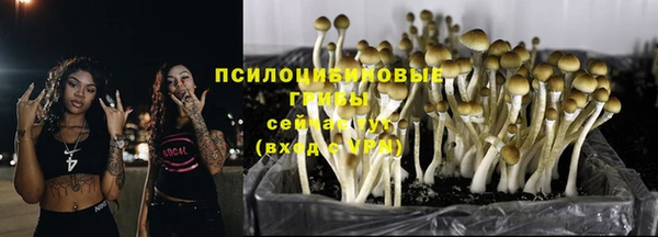 мдма Беломорск