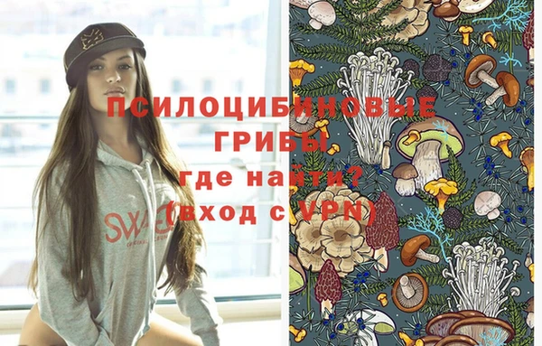 MDMA Белокуриха