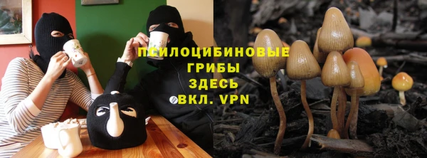 MDMA Белокуриха